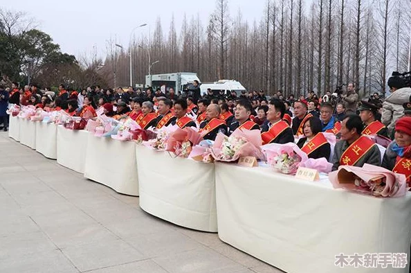 男机械师在《地下城与勇士》中的最佳护士搭档选择指南
