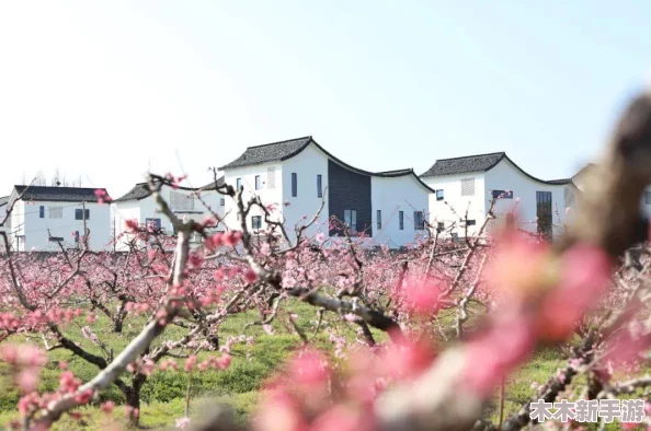 《心灵杀手2》第六章：咖啡梦境游乐场全关卡解谜策略与场景探索图文指南