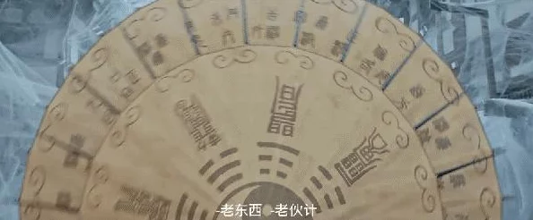 燃烧虫进化的等级揭秘：探索其成长至更高形态的关键级别