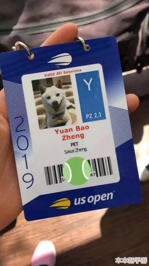 地下城与勇士》年度宠物选择指南：揭秘哪只年宠战力最强，助你征战无忧！