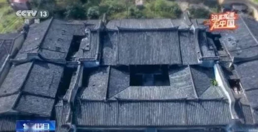 粉嫩18虎白女20P：深入了解这一现象背后的文化与社会影响，探讨其对年轻人的意义