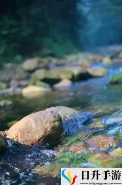 两峰夹小溪地湿又无泥诗小说：在自然与人文交融中感受生命的细腻与深邃