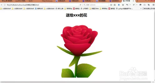 成品w灬源码999玫瑰：深入理解其背后的创作理念与技术细节