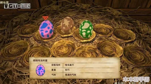 怪物猎人2：金蛋与彩蛋对比，哪一款稀有物品更值得拥有？