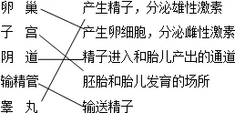 在标题中，关于＂s给m的120条命令＂，探讨权力与顺从的微妙关系