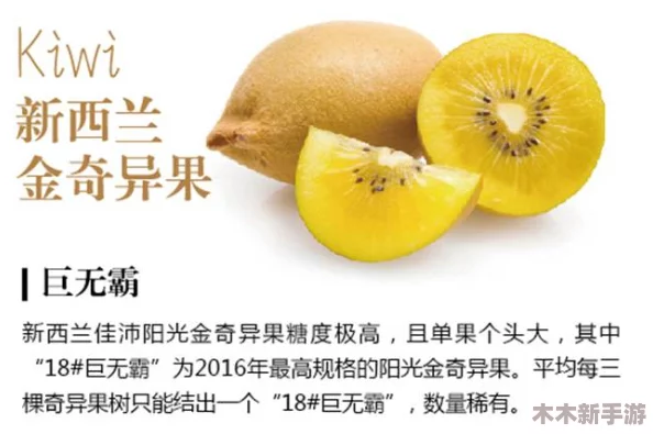 9-1-1精品产国品一二三产香蕉：揭秘香蕉的种植、生长和采摘过程