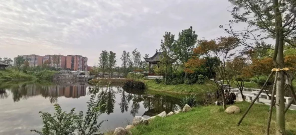 公园拐胖叔回酒店：环境优美，设施齐全，让人流连忘返，简直是放松身心的好去处！