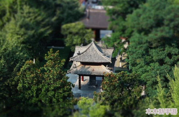 公园拐胖叔回酒店：环境优美，设施齐全，让人流连忘返，简直是放松身心的好去处！