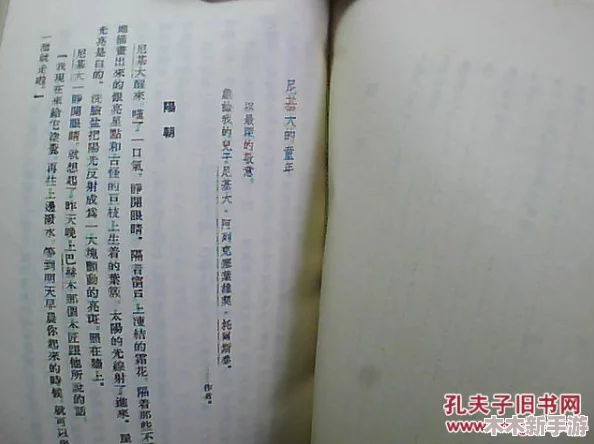 追寻阿律笛声之源：揭秘遗失乐器的下落与故事详情