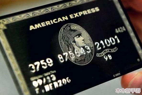 janpense visa black，网友热议：这款黑卡究竟值不值得拥有？使用体验如何？