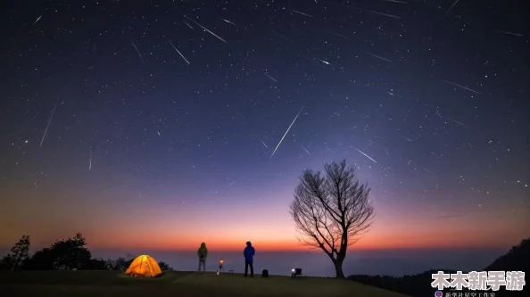 星空无限传媒回家过年：新春佳节，团圆温馨，共享幸福时光