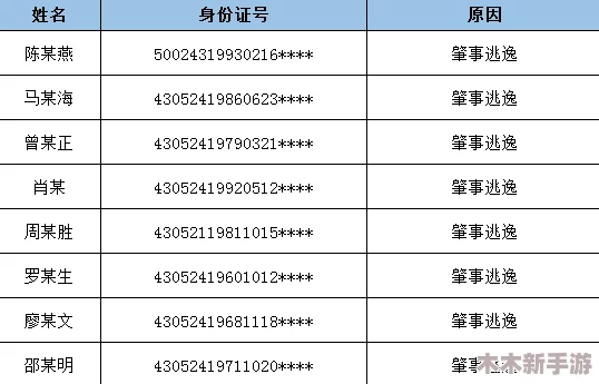 九幺高危风险9.1免费版安装大全：全面解析该版本的安装步骤与注意事项，助您安全顺利完成安装过程
