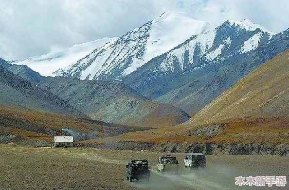 欧美无人区码suv：解析在广袤的欧美无人区中，SUV如何展现其卓越性能与适应能力的独特魅力