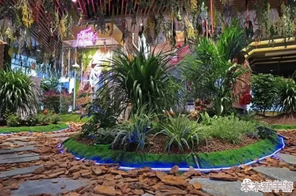 模拟人生4：探秘毒甘菊最佳种植季节，打造四季花园的秘密