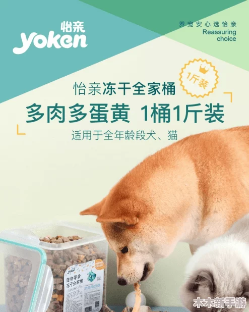 宠物保姆满天星：在繁忙生活中为爱宠提供温暖关怀的专业服务，让每一只小生命都能感受到家的温馨与陪伴