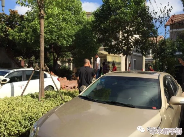 枫散r18车不适请退，网友：这款车真心不推荐，开起来感觉很别扭，完全没有预期的舒适度！