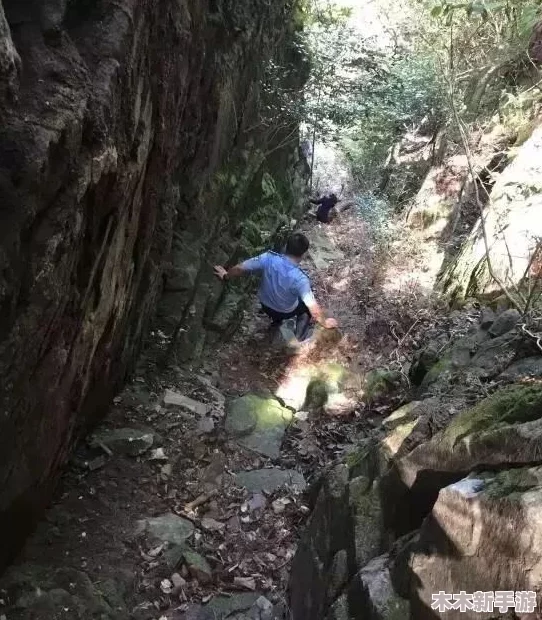 老人做交易森林现场：在这片神秘的森林中，老人与自然和谐共生，通过独特的方式进行物品交换与智慧传承