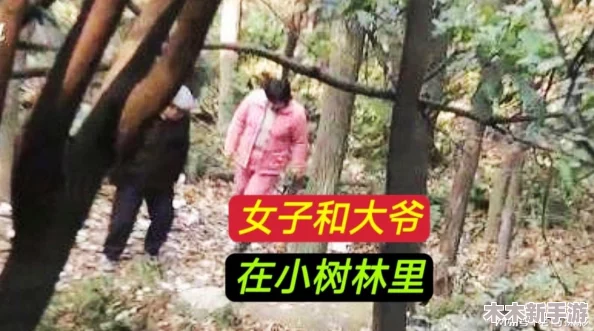 老人做交易森林现场：在这片神秘的森林中，老人与自然和谐共生，通过独特的方式进行物品交换与智慧传承