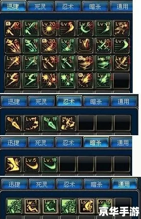 DNF刺客职业光环选择指南：如何为你的暗夜杀手挑选最佳增益效果