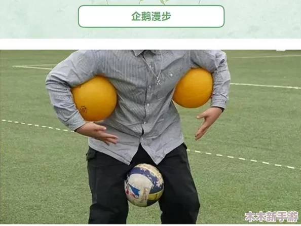 BJ圆圆搓球球：在趣味与技巧中，如何提升你的搓球水平和游戏乐趣？