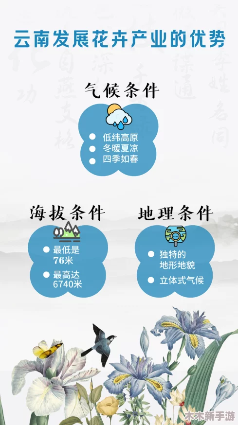 与妈妈一起隔离怀孕进展攻略：理解如何应对独特挑战和需求