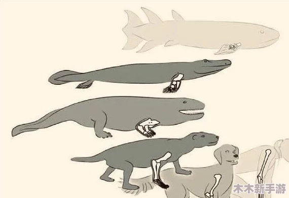 欧美人与禽性XXXXX杂性：一种独特的文化交融和生物进化现象