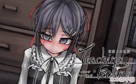 teachingfelling： 通过理解教学情感，提升教育效果