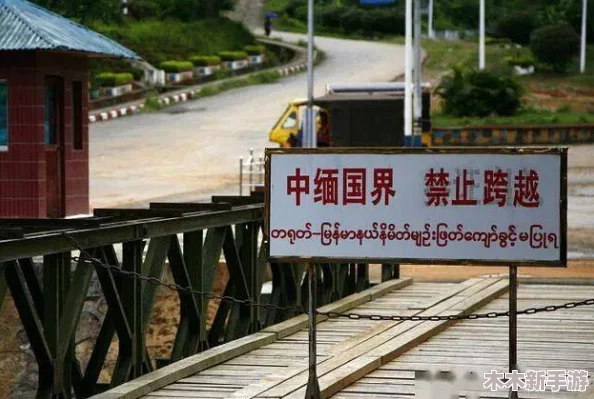 前四后八缅北：深入了解这一独特的交通模式及其在缅甸北部地区的重要性与影响力