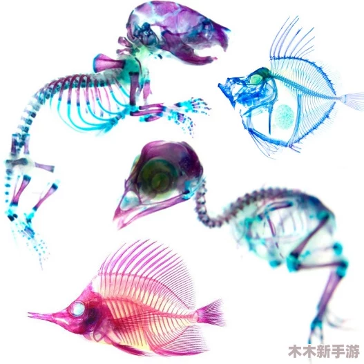 莎莎九色91POPNY 蝌蚪：多彩创意与自然灵感的完美结合，展现独特艺术魅力与生态意识