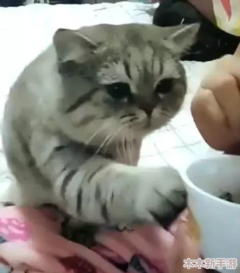 哑剧猫黄改＂引发网友热议：有人称其颠覆经典，也有人力挺创新尝试，争议不断。