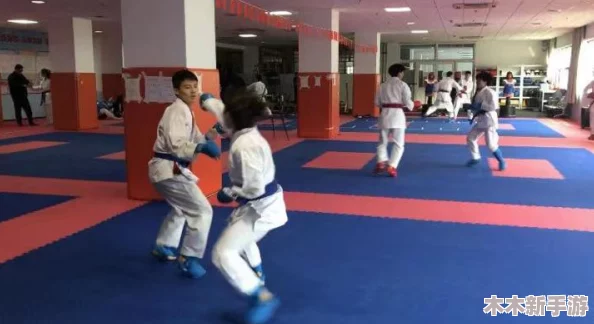 格斗江湖：九州战场全攻略，解锁策略与技巧，称霸武林秘籍