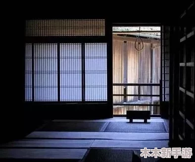 东北大炕虎子：传统与现代生活的碰撞与融合之谜