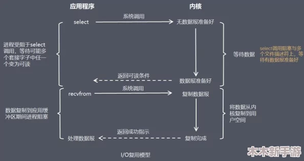 西普大陆全面解析：属性相克原理与实战应用策略