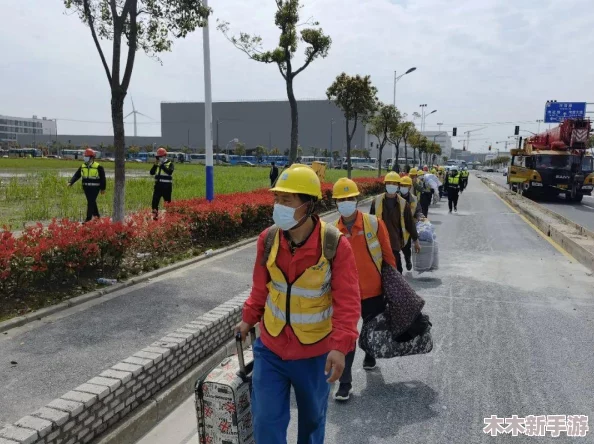方舟生存进化：全面指南——高效加点策略与技能优化建议