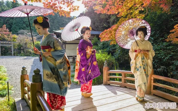 wwwxxxx日本：探索这个神秘国度的文化、历史和风土人情
