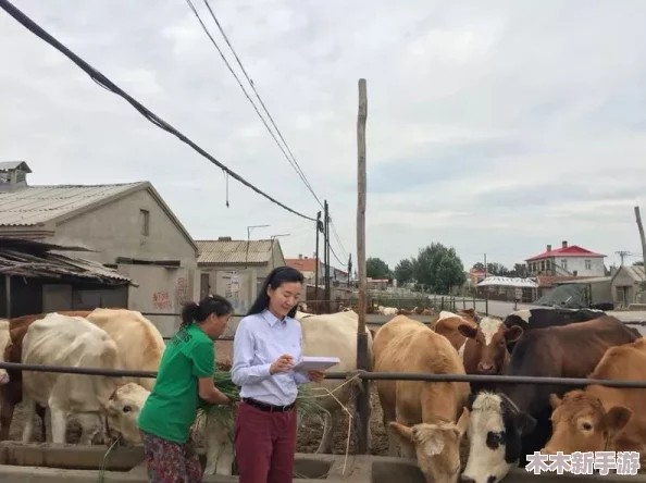 公交车奶牛：城市交通与农业的奇妙交汇，如何在现代化中找到传统的温暖与实用价值？