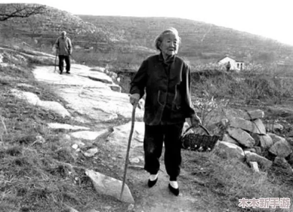 耕了母亲荒废土地，理解背后的情感与责任，让我们重新审视家庭与土地的关系