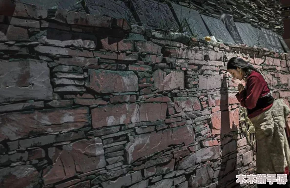 耕了母亲荒废土地，理解背后的情感与责任，让我们重新审视家庭与土地的关系