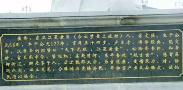 黄台404：探寻神秘数字背后的故事与文化现象