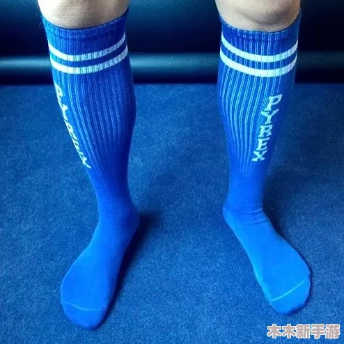 深入探讨男同GaYGAYS 白袜体育文化与时尚潮流的交织与影响