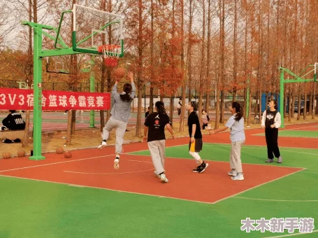 篮球体育生寝室飞机gsy：揭秘校园生活的独特一面与青春活力的碰撞