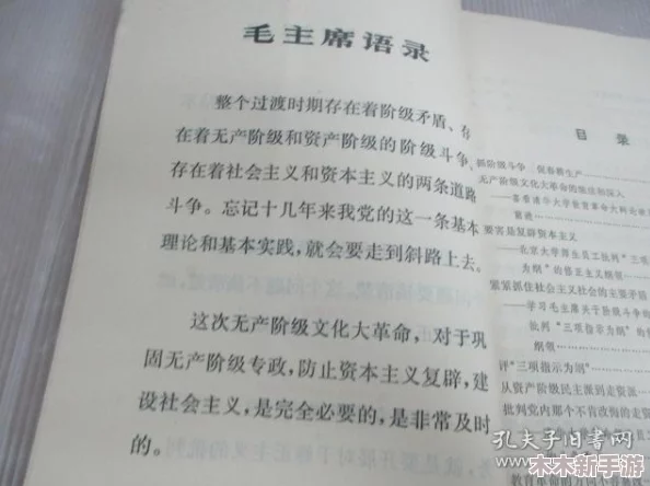 理解寡妇一级：深入分析其社会文化背景与心理影响的多维视角