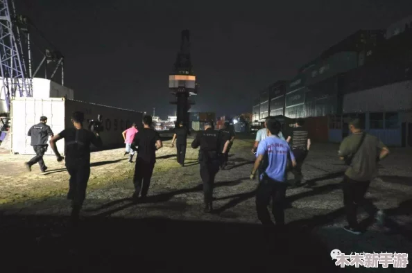 辐射4游戏中，最佳油品交易点：探索哪个商人提供最优收购价？