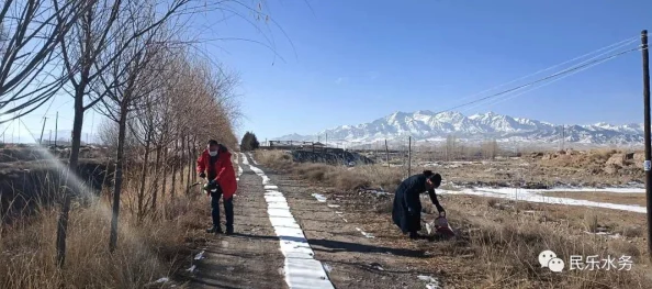 辐射4游戏中，最佳油品交易点：探索哪个商人提供最优收购价？