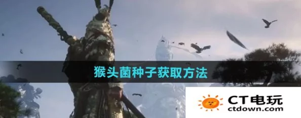黑神话悟空：猴头菌种子高效刷取地点与全图猴头菇孢子采集攻略