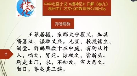 缅甸前四后八什么意思？深入解析其含义与背景故事