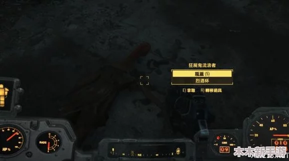 《辐射4》中，哪位随从伙伴最富趣味性与互动性探索之旅？