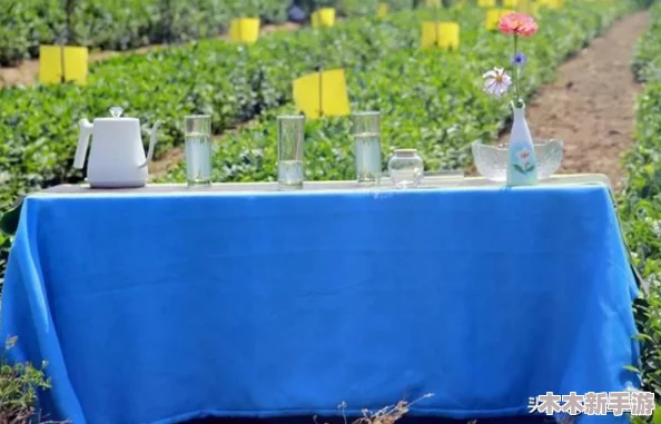 蜜桃在线视频 - 畅享高清免费视频，带你进入甜蜜视界，尽情体验精彩生活！