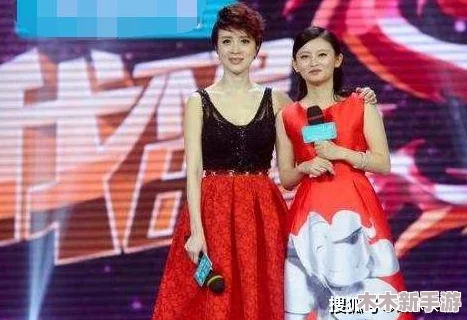 老扒干红法蓉陈红与红酒搭配：用户评价称其口感丰富，完美契合多种菜肴，令人回味无穷