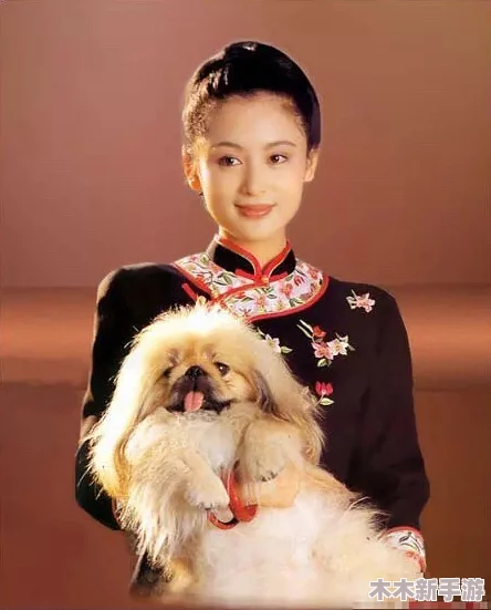 老扒干红法蓉陈红与红酒搭配：用户评价称其口感丰富，完美契合多种菜肴，令人回味无穷